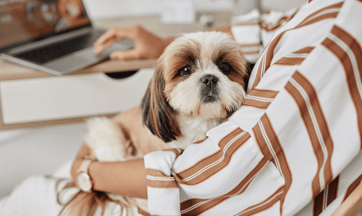 dog and woman